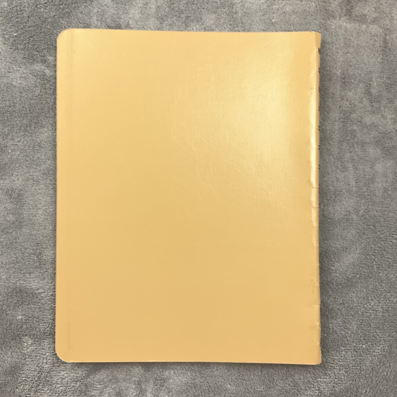 DOME Simplified Monthly Bookkeeping Record Spiral Bound #612 Nicholas Picchione