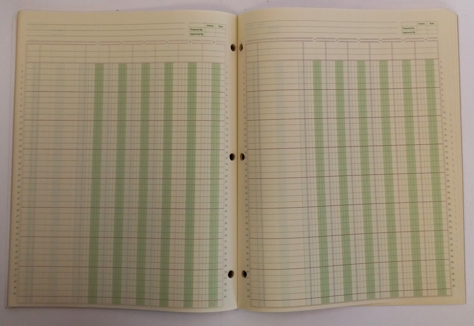 Ledger Pad 6 Columns 8.5 x 11 inch 50 Sheets Blank Lot of 2