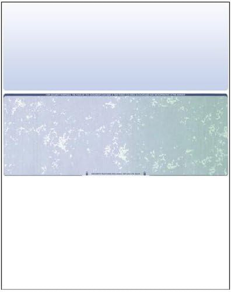 Prismatic Business Voucher Check Stock – 500 Laser Checks, Blue/Green