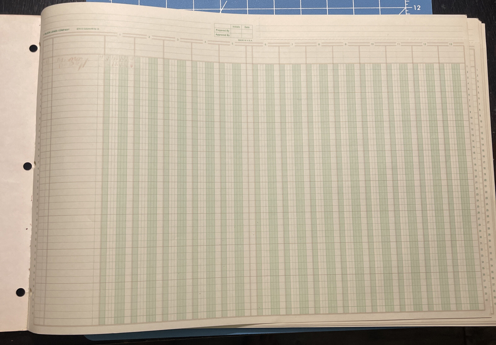 Wilson Jones Column Analysis, Columnwrite, 11″ X 16-3/8 , 13 Columns, 50 Sheets