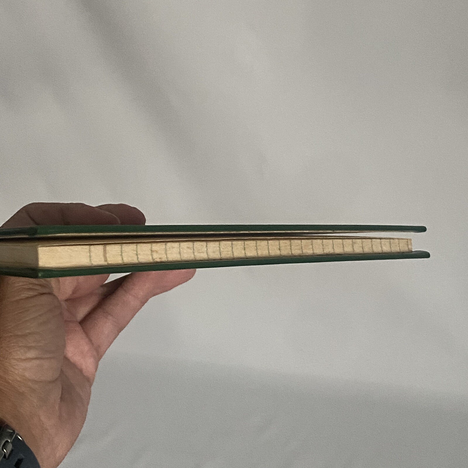Cash Record S.E. LEDGER BOOK! NATIONAL BLANK BOOK CO. Eagle Line Vintage READ