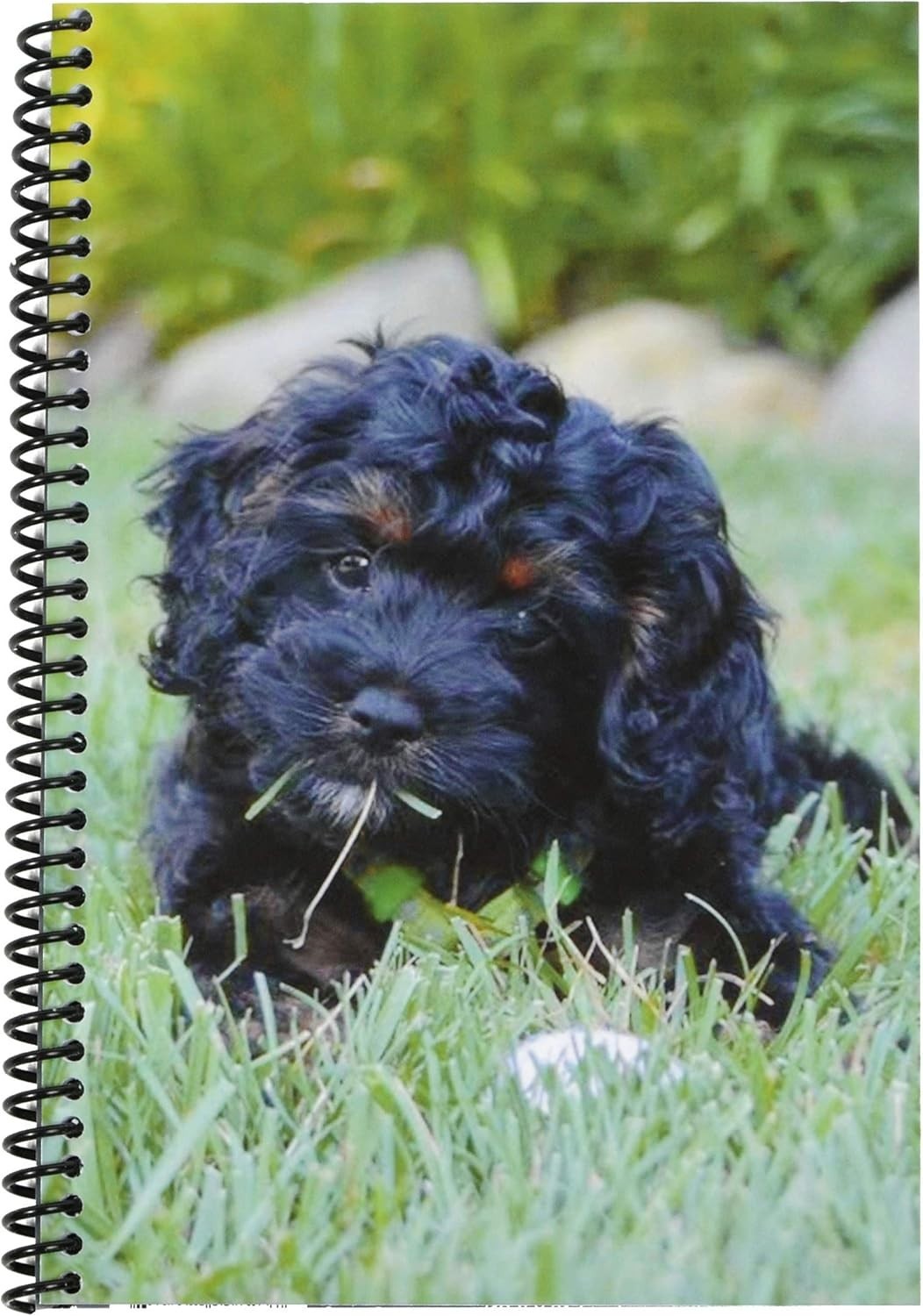 Puppy Check Book & Debit Card Register, 1-Pack, Standard Edition