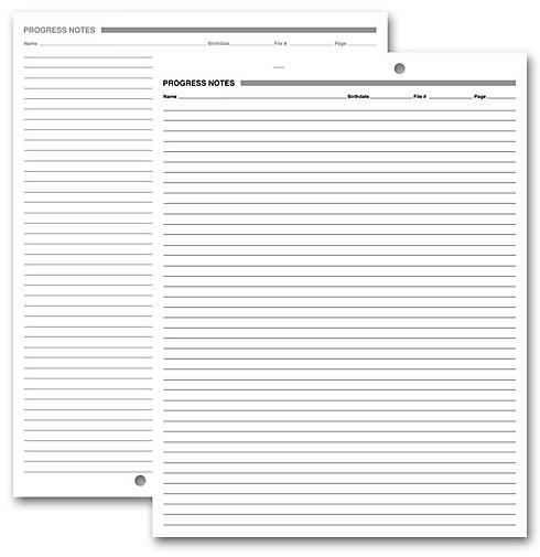 500 Progress Notes, 2-Hole Punch, White Ledger / 8.5 x 11 / Nebs Deluxe #24066