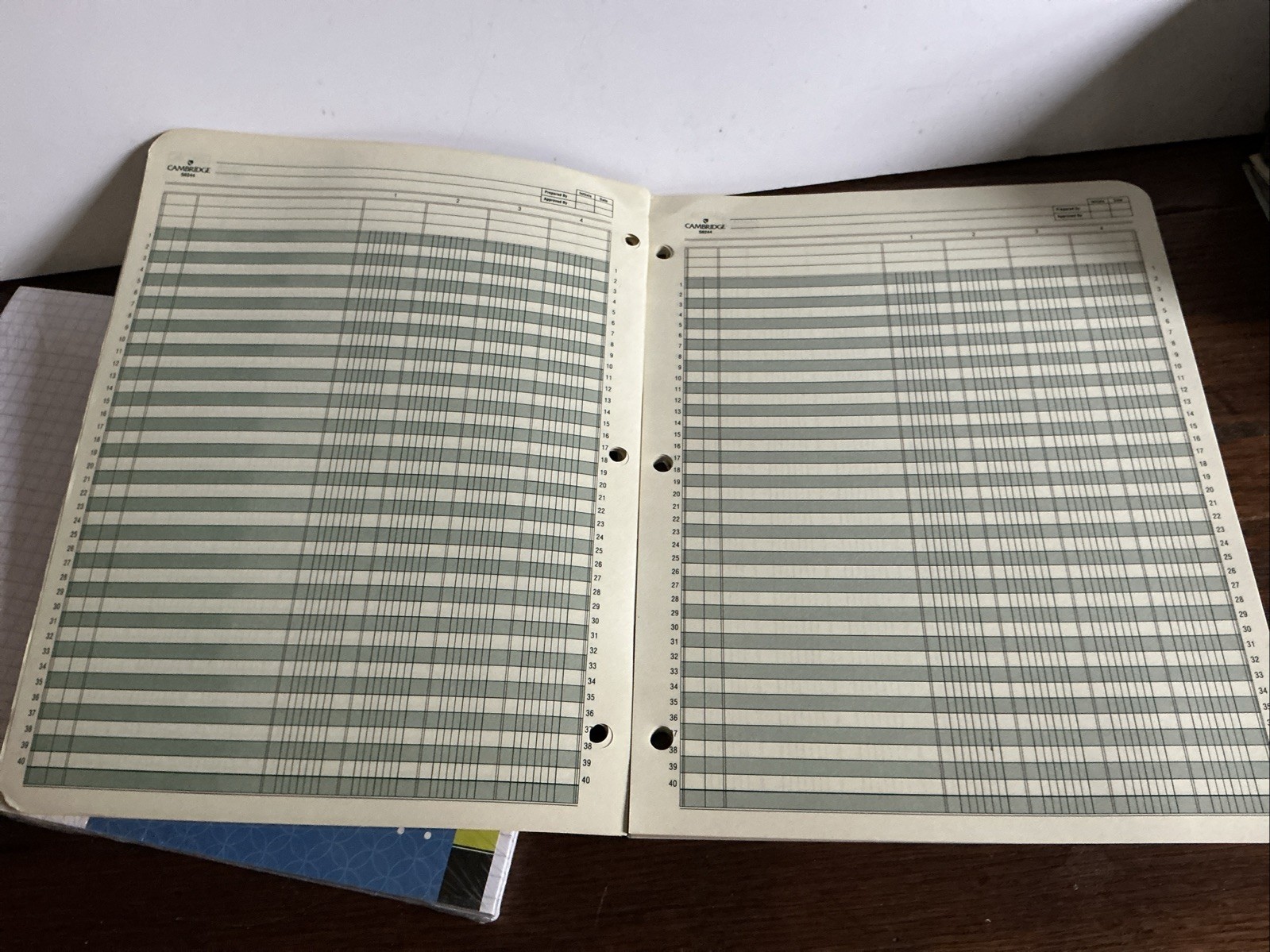 Vintage Accounting Column Pads (49, 47 Sheets), 2 50 Sheet Graph Paper Pads 1120