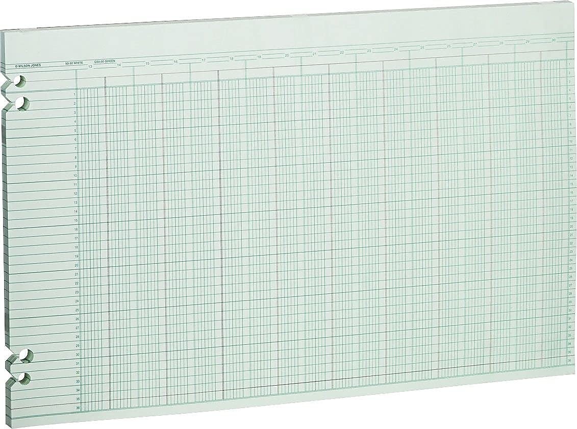 G5030 Accounting Sheets, 30 Columns, 11 x 17, Green (Pack of 100 Loose Sheets)