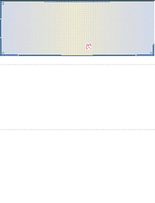 Blank Laser Check – Top Check – High Security – 500 checks – Color Choice
