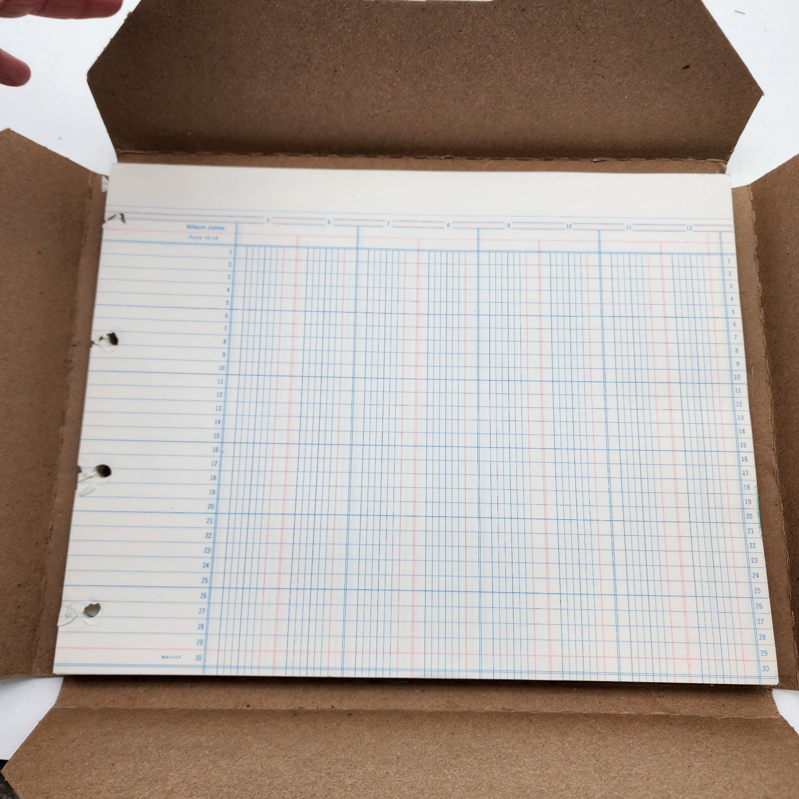 Wilson Jones Accounting Sheets 10-12 Columnar 9-1/4 x 11-7/8 Loose Sheets