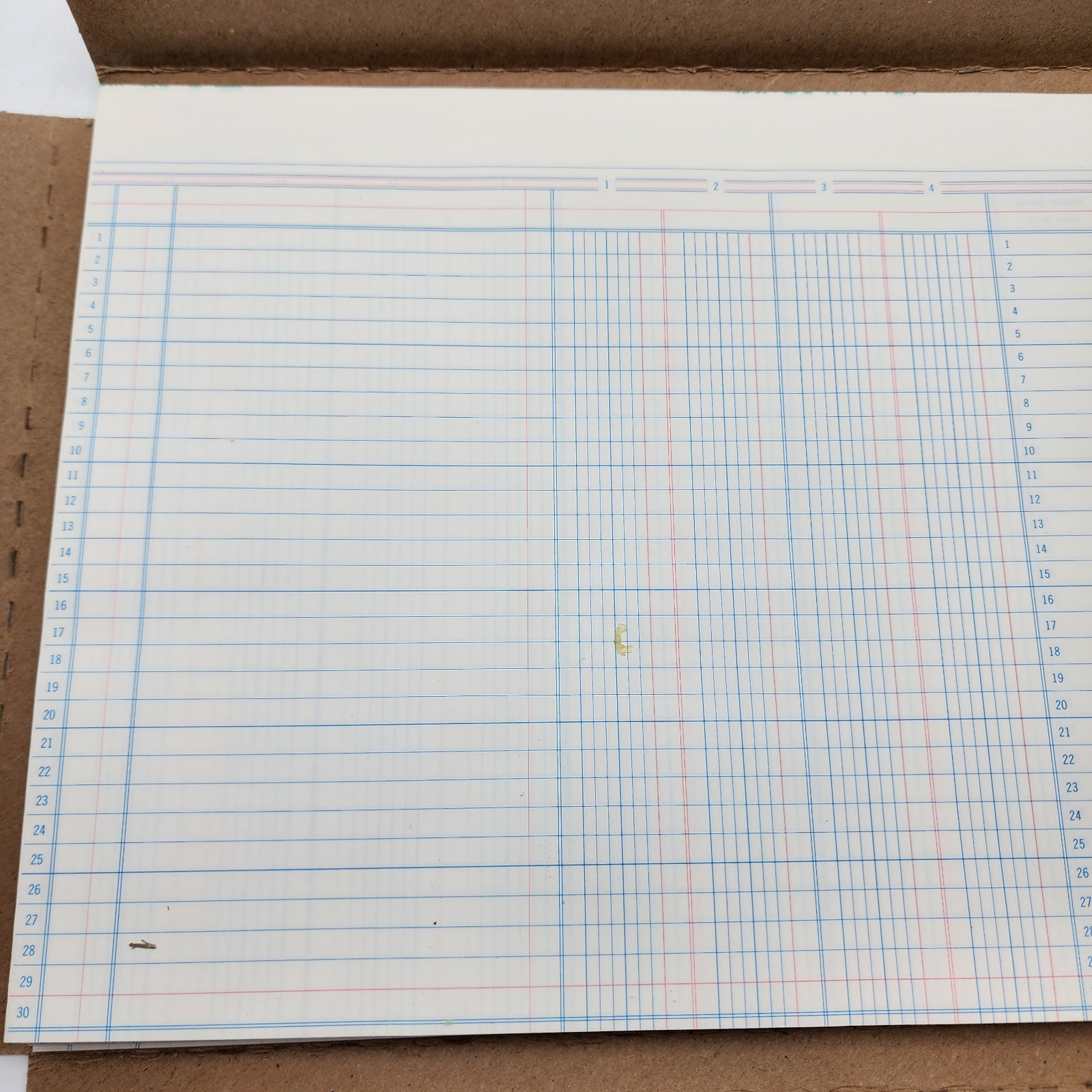 Wilson Jones Accounting Sheets 10-12 Columnar 9-1/4 x 11-7/8 Loose Sheets
