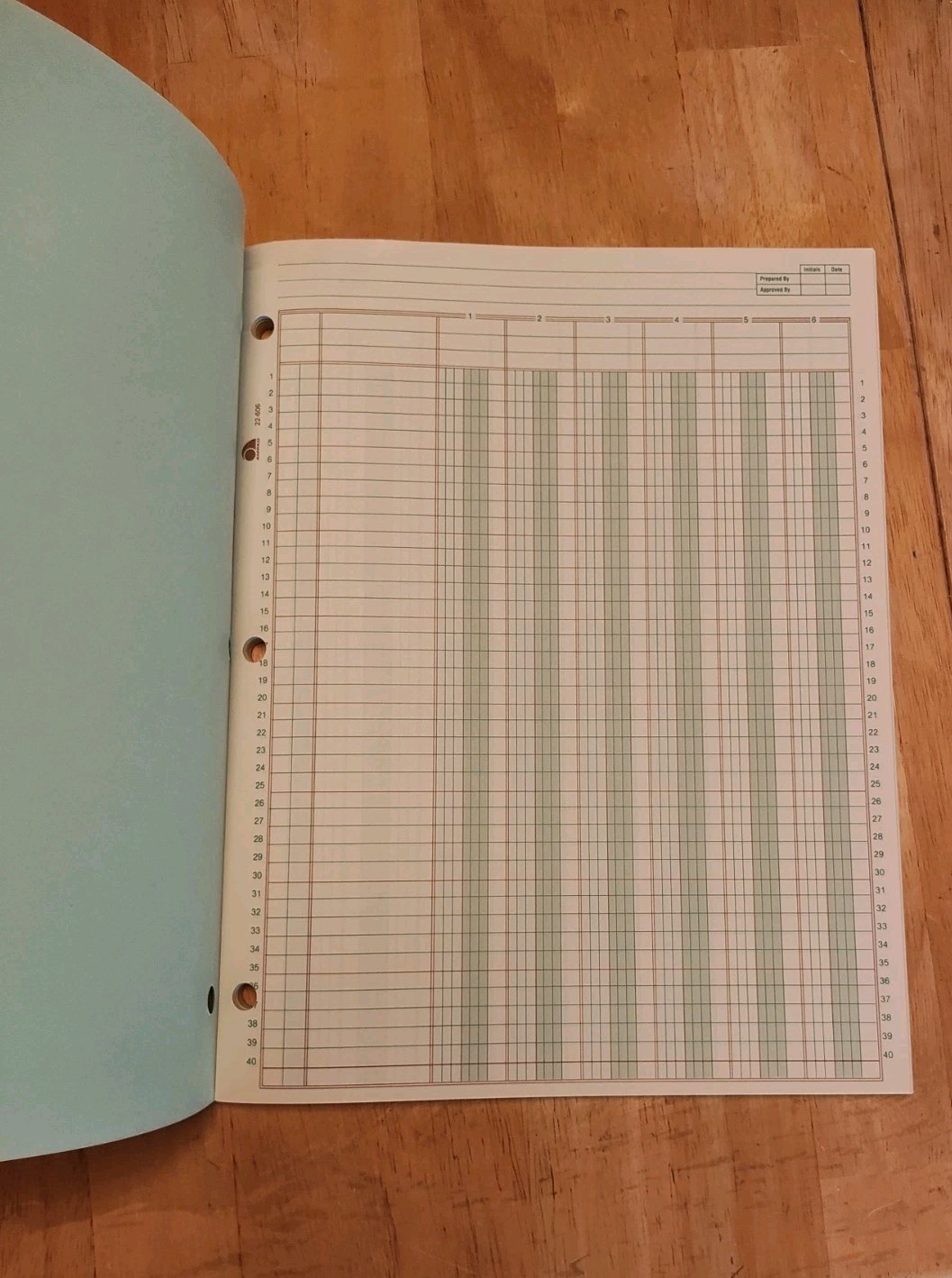 Ampad Columnar Pad 6 Columns 11×8.5 Light Green 50 Sheets 22-606