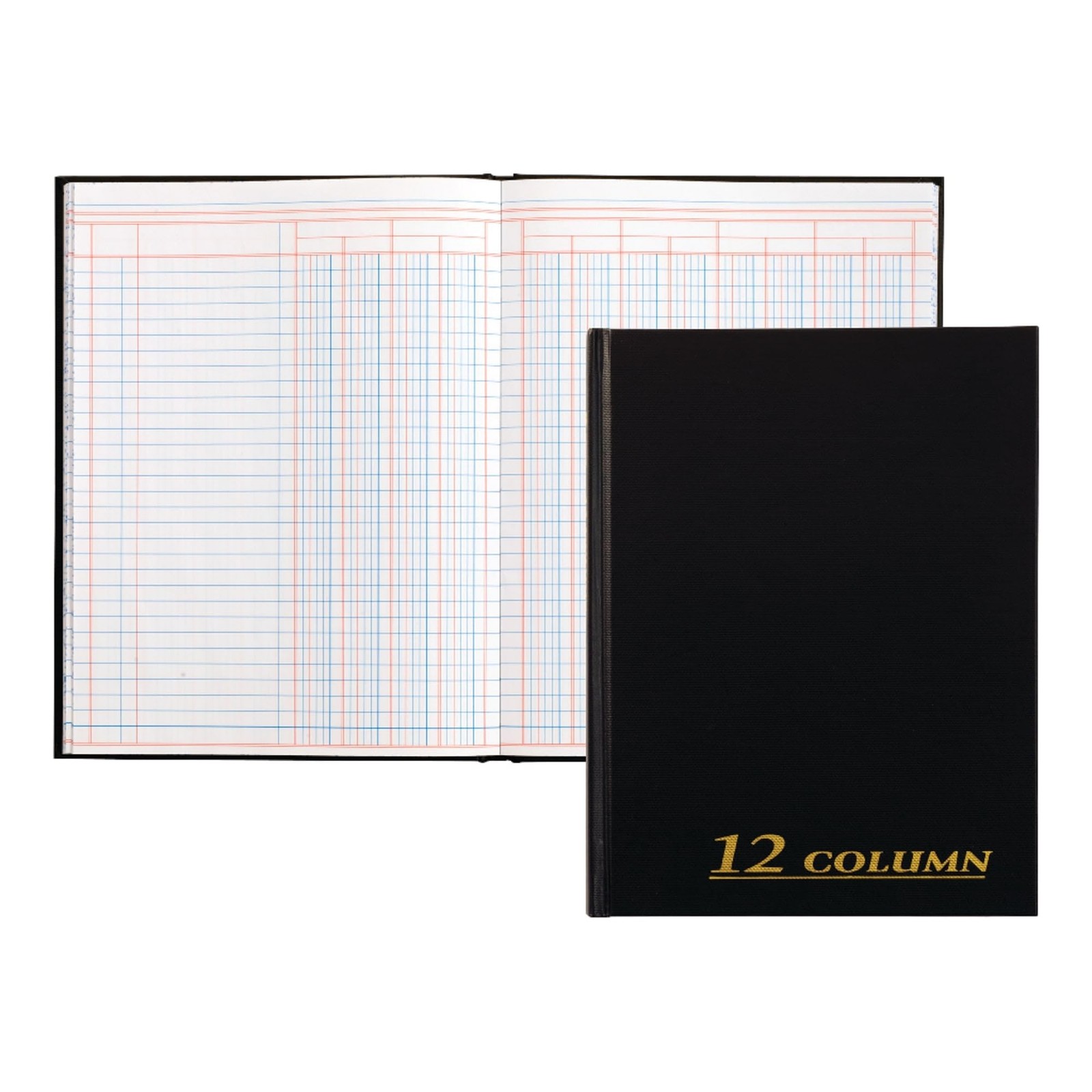 Adams Account Book, 7 x 9.25 Inches, Black, 12-Columns, 80 Pages (ARB8012M) New