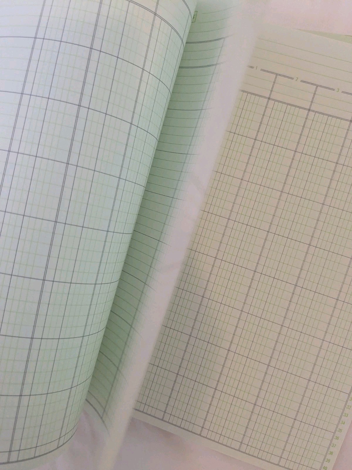 Staples Columnar Books 100 Pages 5 Columns Green 2/Pack (217851ABF)