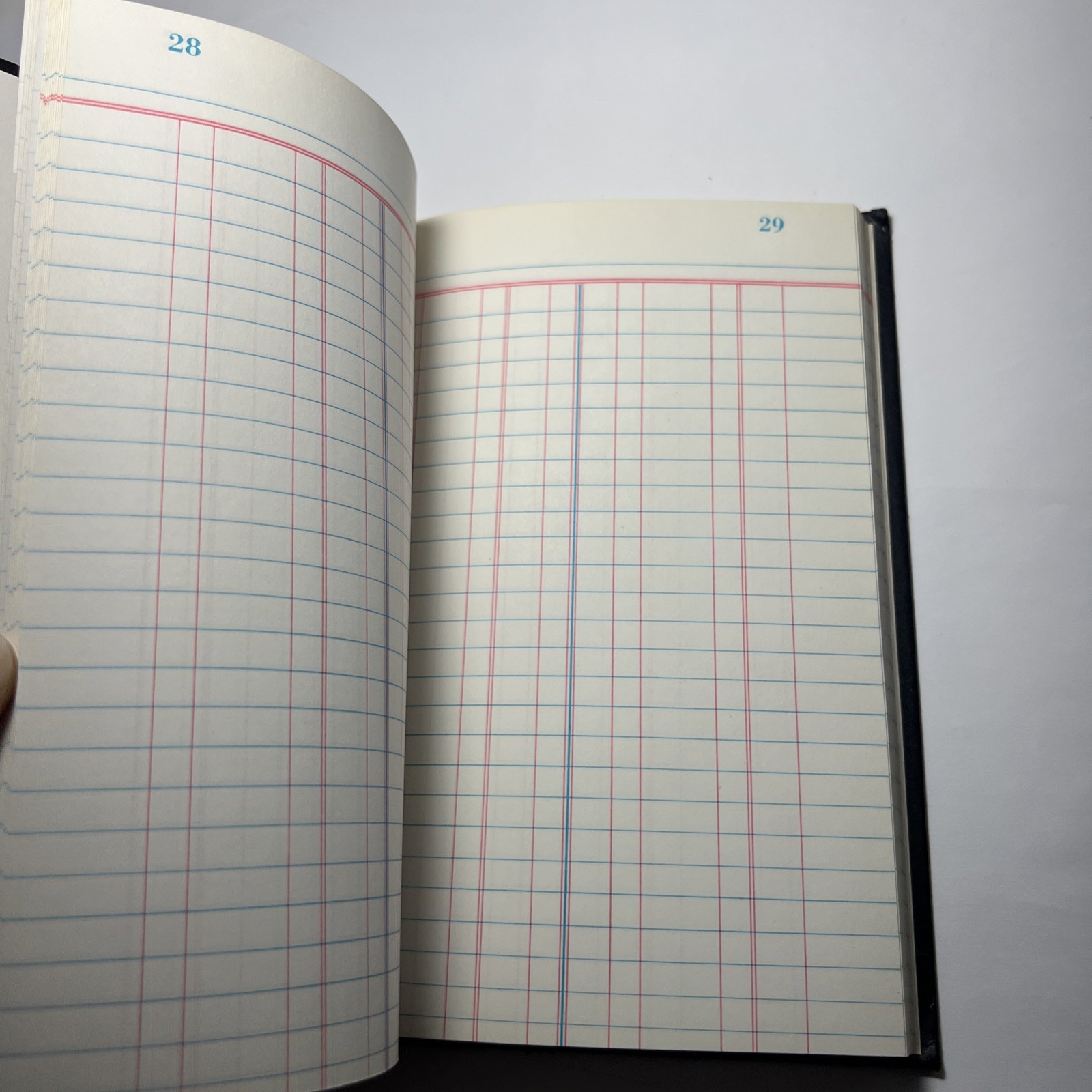 D.E. Ledger Personal Account Book Checkbook Register USA Unused Wilson Jones