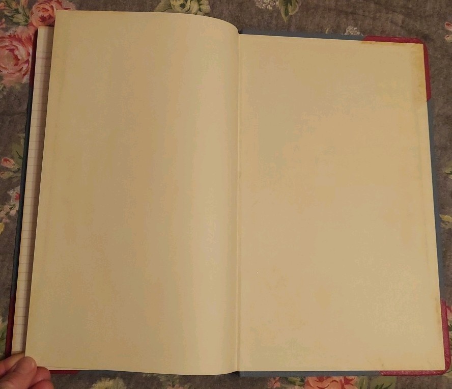Vintage Cash or Day Book Journal No. 2176 Woolworth Ledger Herald Square