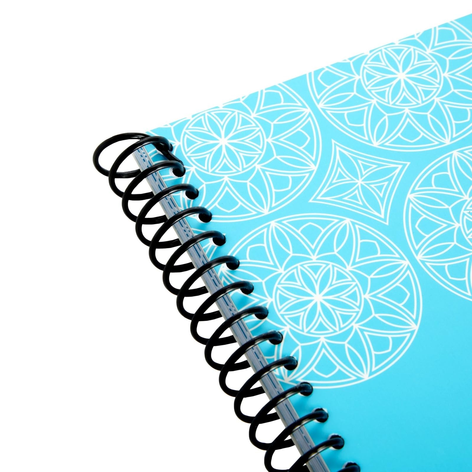 Paper Junkie Budget Planner 2026-8 x 10 In, Blue – Expense 8-x-10-inch,