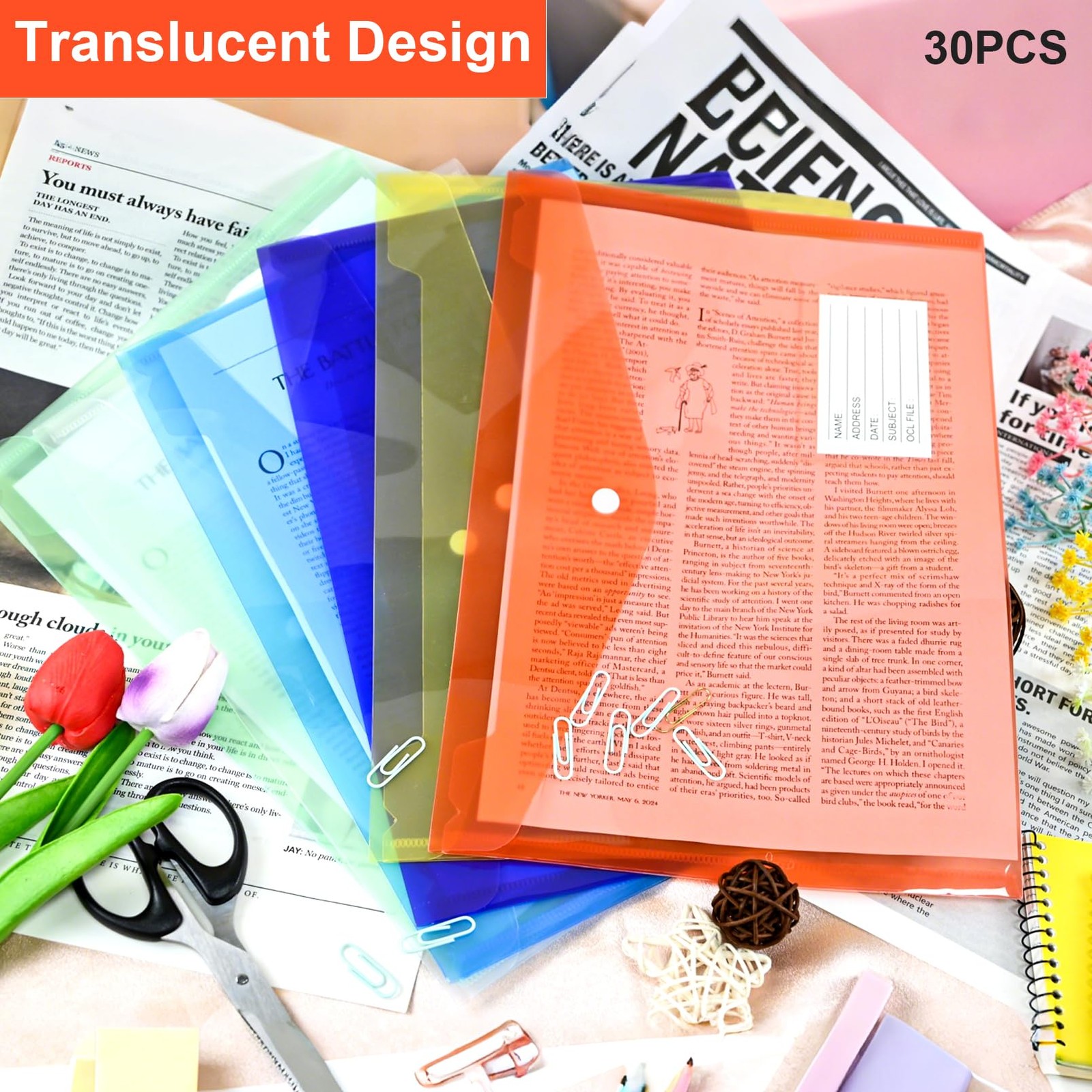 ddseexhe 30 Pack A4 Size Plastic Clear, Blue, Red, Yellow, Green, Purple