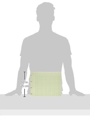 20 Column Accounting Sheets, 9-1/4 x 11-7/8, Green, Pack of 100 Loose Sheets