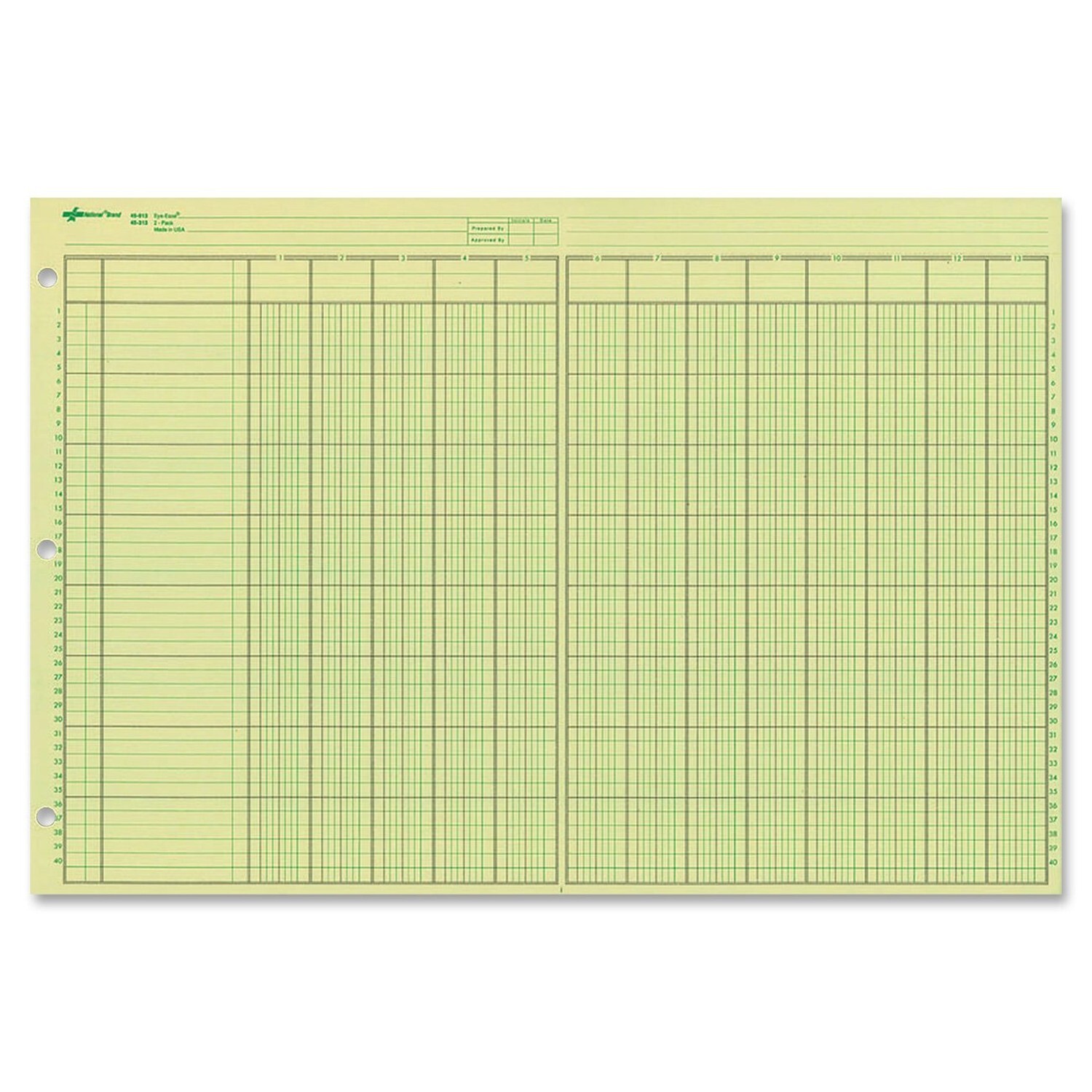 NATIONAL Analysis Pad, 13 Columns, Green Paper, 11 x 16.375″, 50 Sheets (45613)
