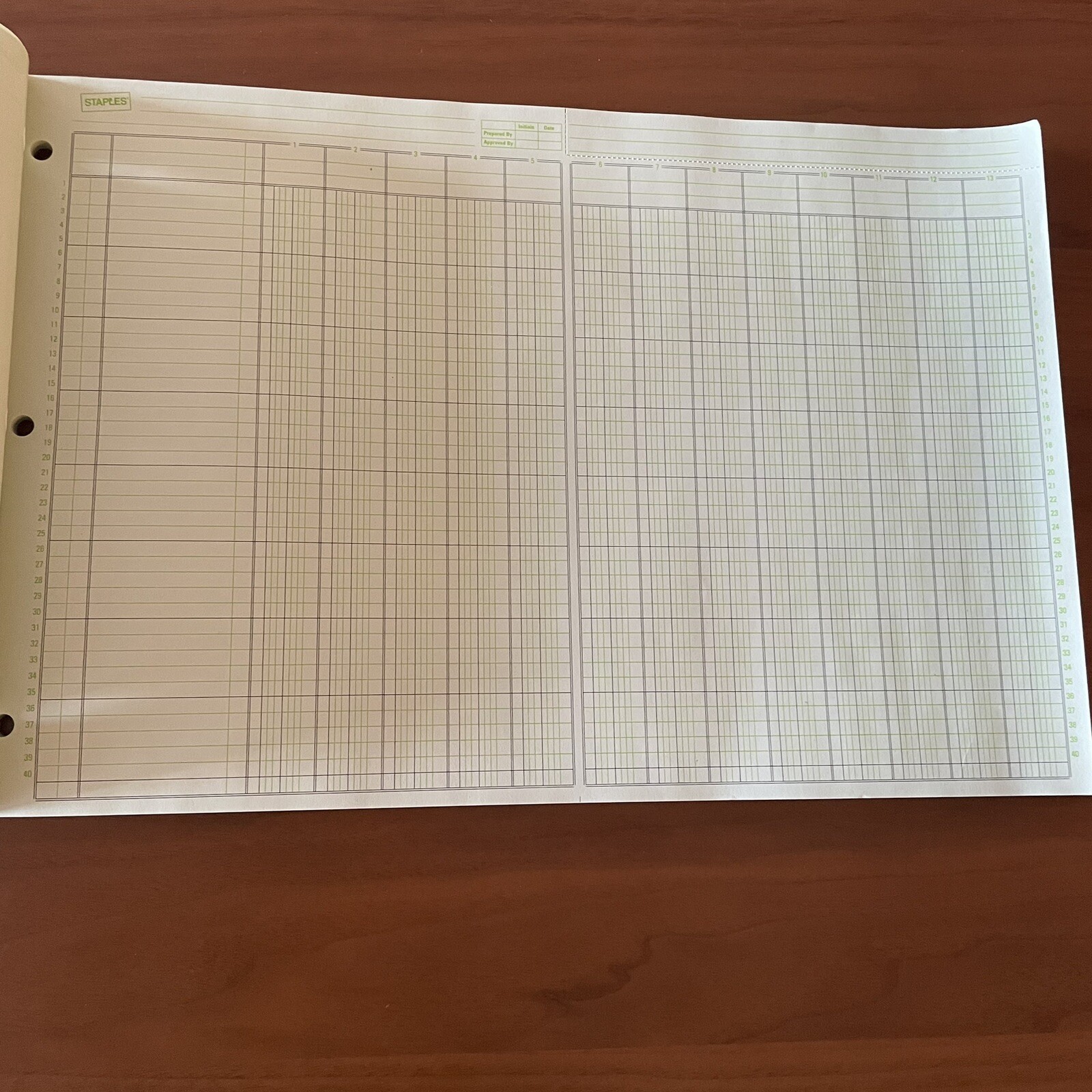 Staples 217893 Columnar Pads 13 Columns 11″X 16 5/16″