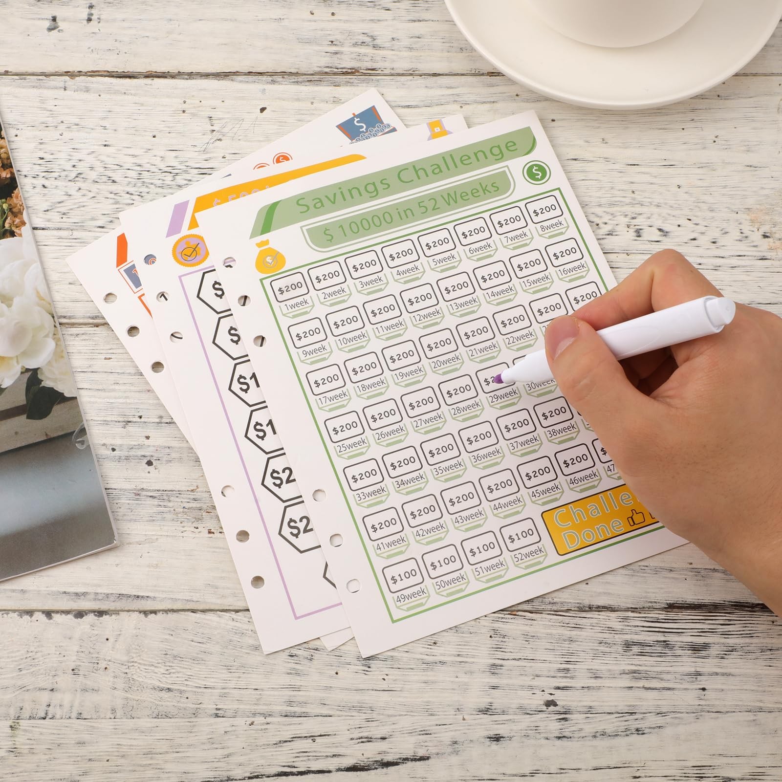 NQEUEPN Saving Money Challenge Tracker Sheets, 18pcs, 100 Day, 7.87×5.98 inch,