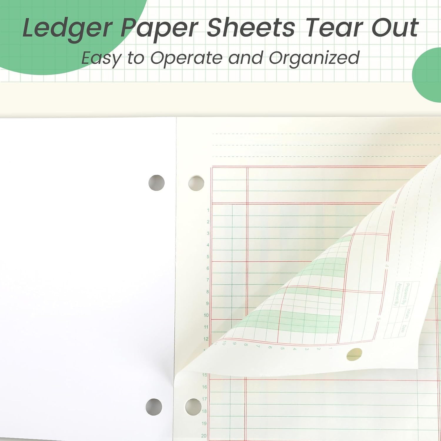 2 Pads 100 Sheets Columnar Analysis Pad 3 Hole Punch Accounting Ledger Book 8-1/