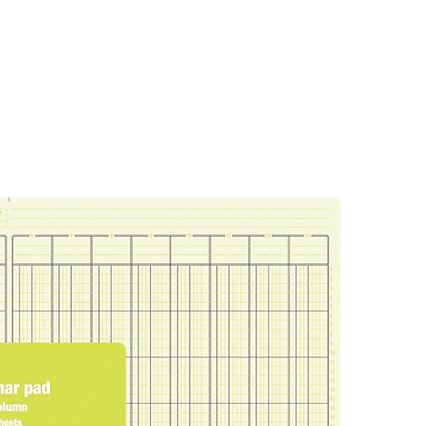 Staples 13 Columns Columnar Book, 16.31″W x 11″H, Green (ST18868) 1-Count