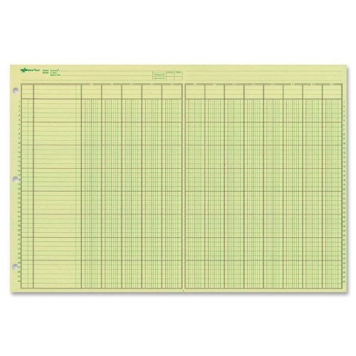 NATIONAL Analysis Pad, 13 Columns, Green Paper, 11 x 16.375″, 50 Sheets (45613)