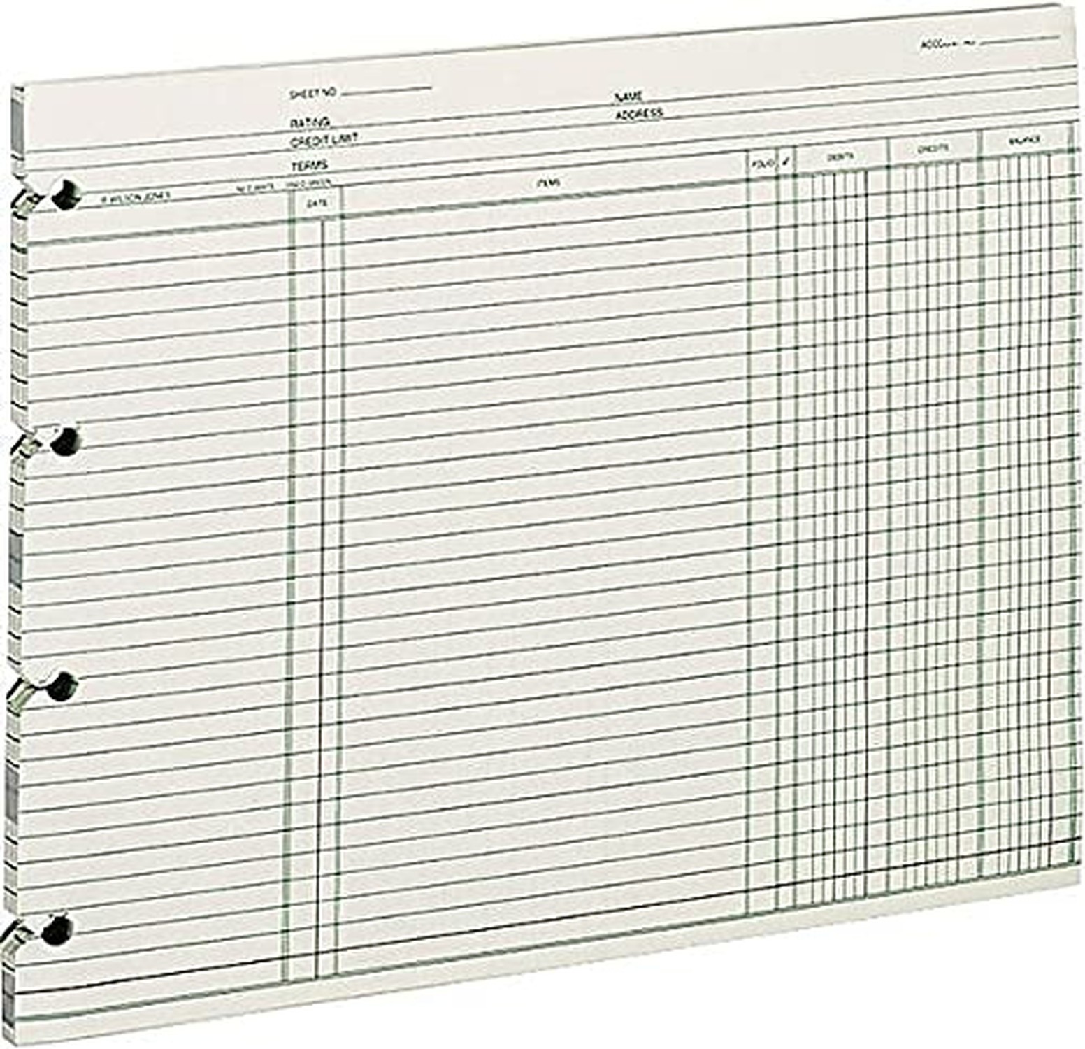Wilson Jones GN2D Accounting, 9-1/4 x 11-7/8 (Pack of 100 Loose Sheets) Green