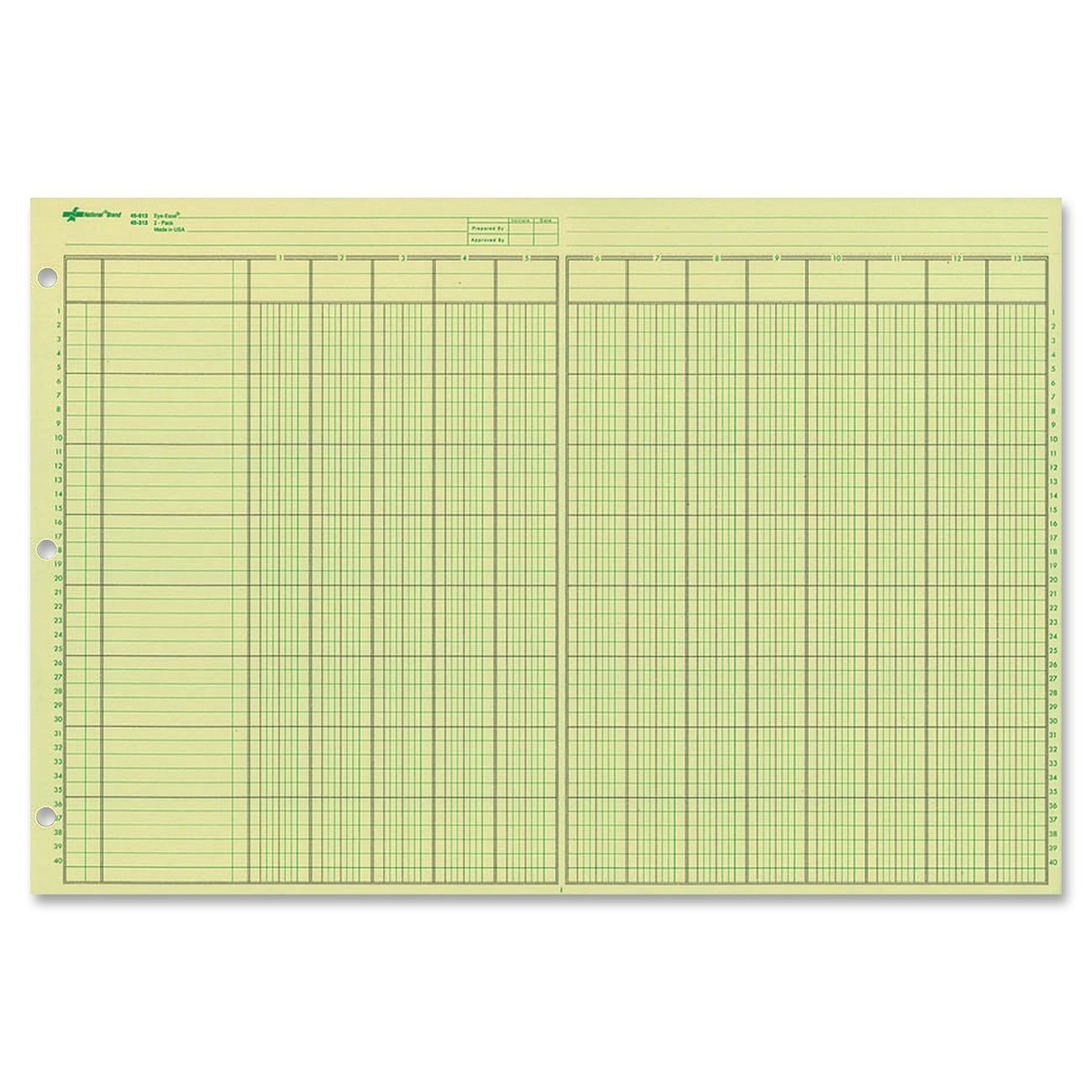13-Column Analysis Pad – Green Eye-Ease Paper, Numbered Lines, Side-Punched, 50