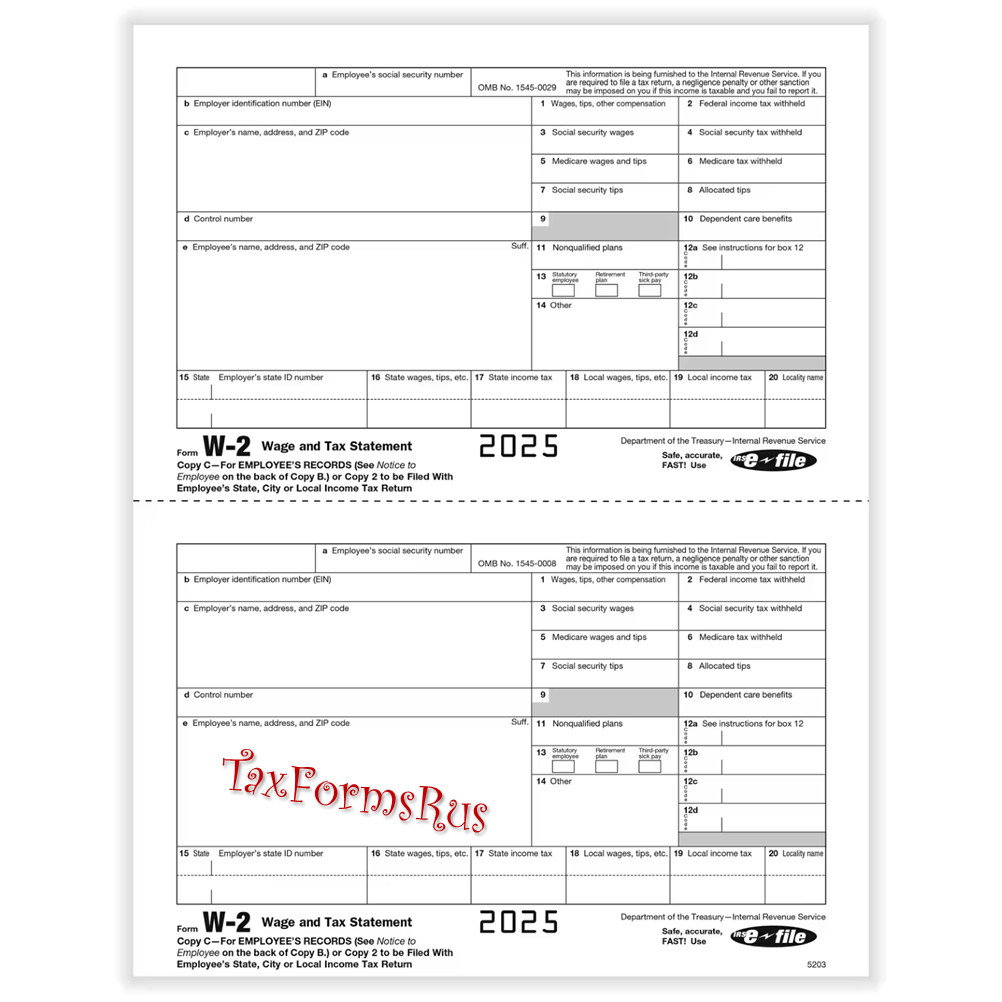 2025 IRS Tax Form W-2 Wage Stmts LASER single sheet set for 2 employees, 6-part