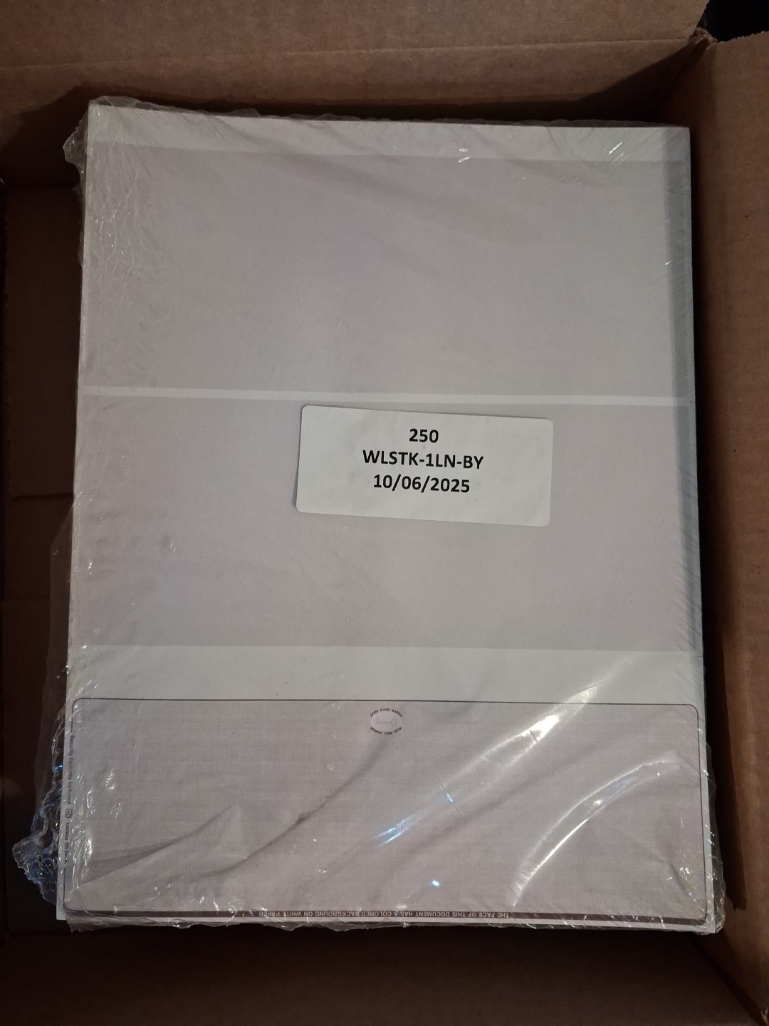 500 Count Blank Hologram Checks 8.5×11 Sheets Payroll