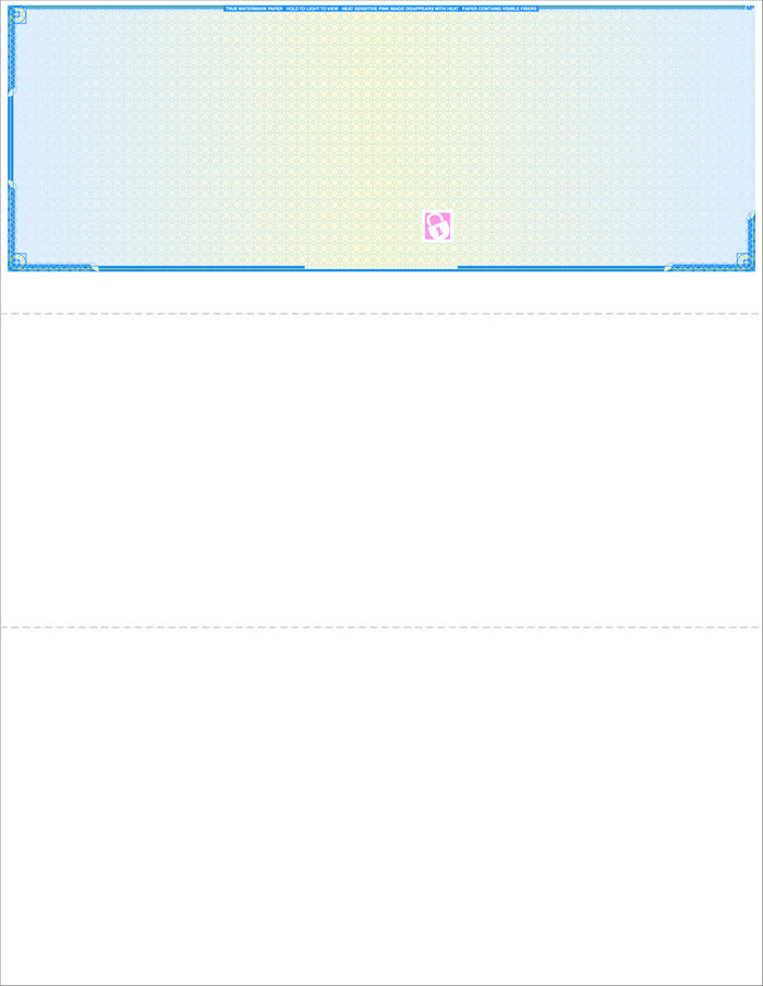 Blank Laser Check – Top Check – High Security – 500 checks – Color Choice