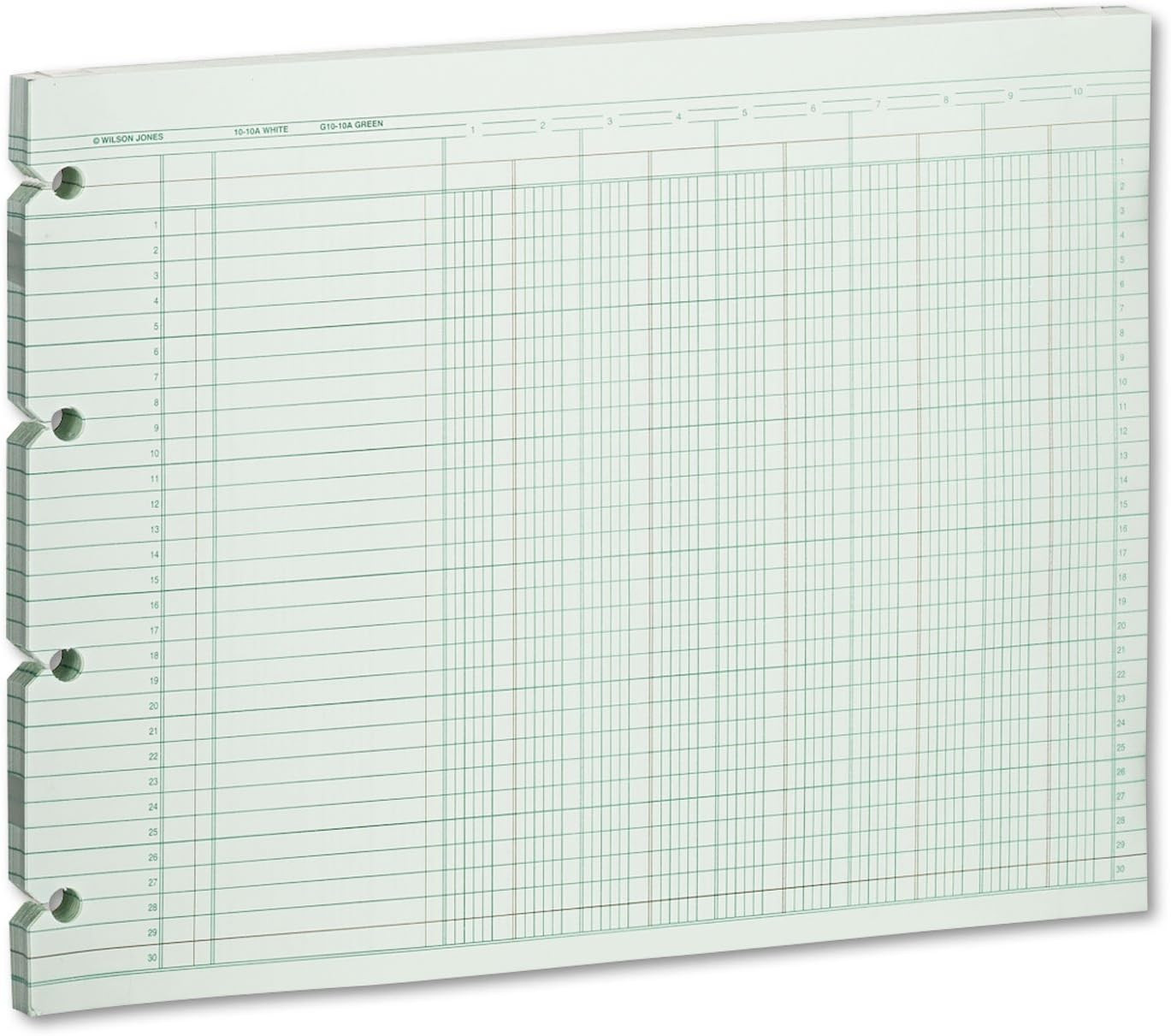 Accounting Sheets, 10 Column, 9-1/4 x 11-7/8, 100 Loose Sheets/Pack, Green