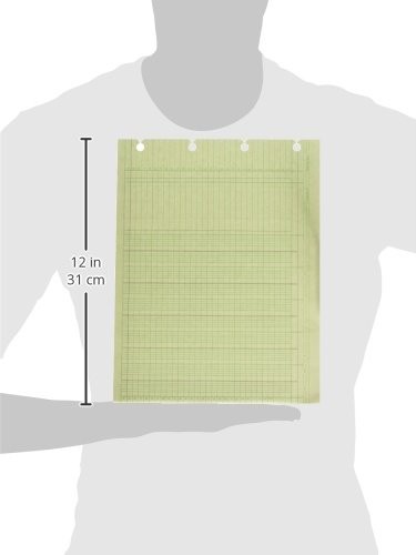 Wilson Jones G1010 Accounting Sheets, 10 Column, 9-1/4 x 11-7/8, Green