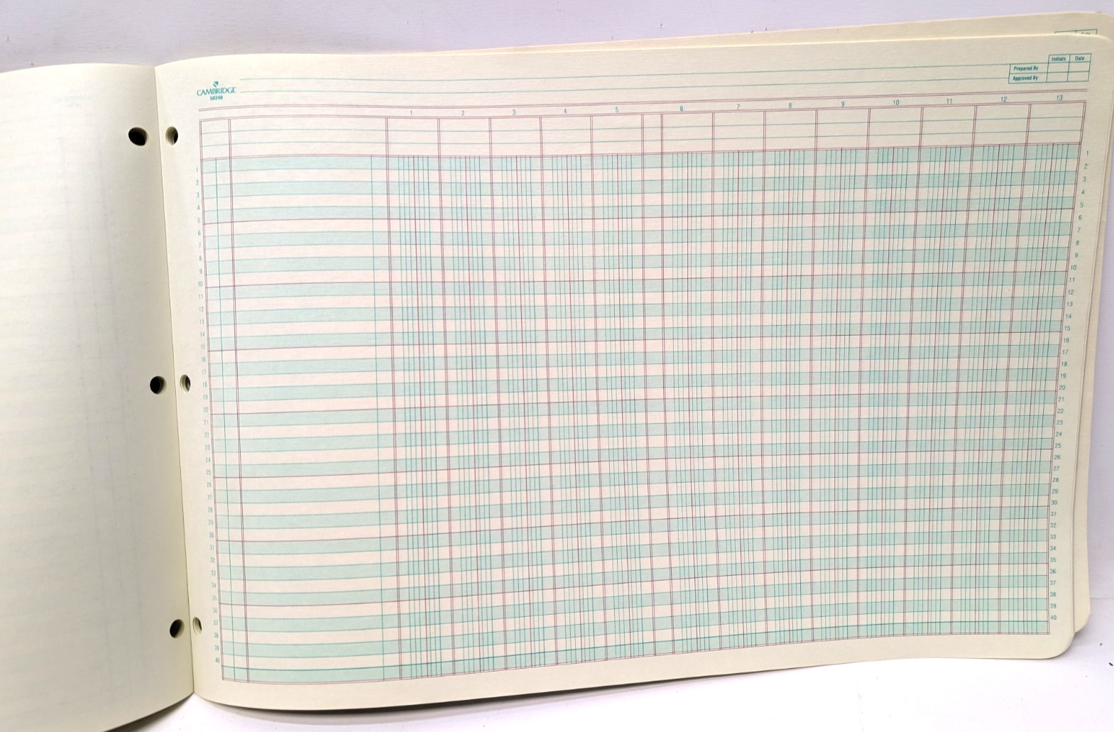 Mead Cambridge Columnar Pad 13 Columns, 11 x 16.375 Inches, 13-Columns- Green