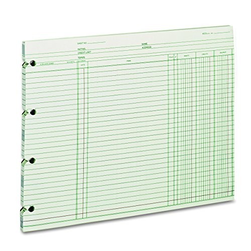 Green Balance Ledger Paper, 9-1/4″ x 11-7/8″, 100 Sheets for Accounting & Financ