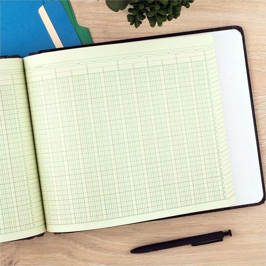 Acco G1020_40 Columnar Ledger Sheets 100 Pack Green 9.25″x11.88″