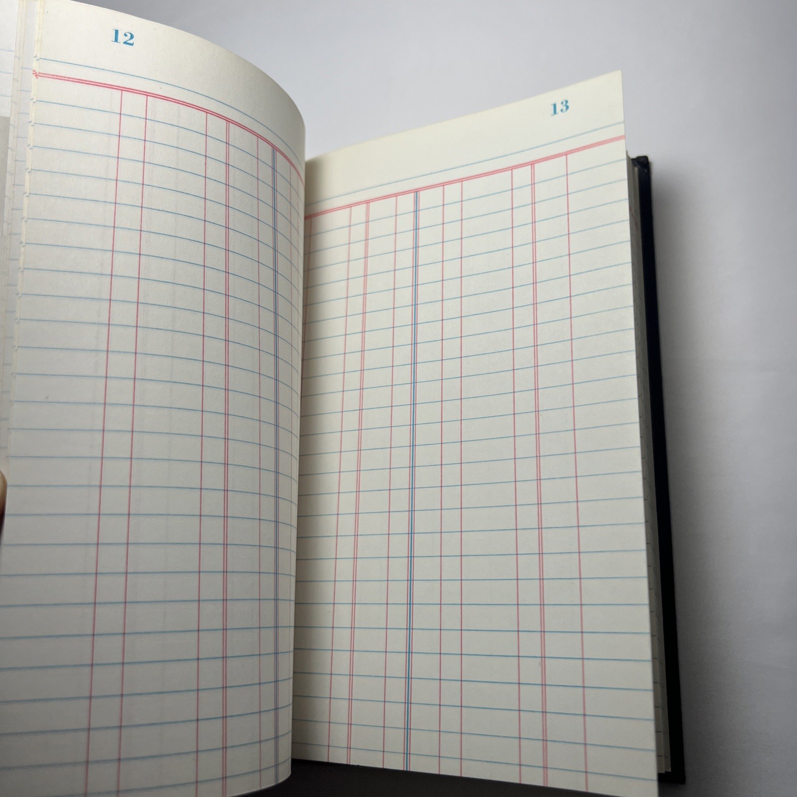 D.E. Ledger Personal Account Book Checkbook Register USA Unused Wilson Jones