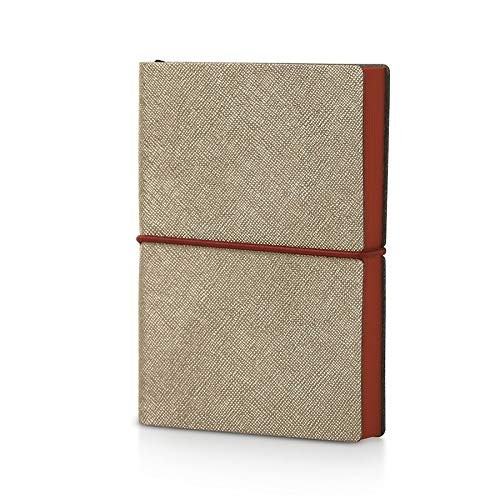 CHIAC 2019 Plus Metal Daily Diary, Platinum (Saffiano Metallic Cover)