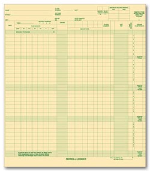 131031N Expense Payroll Ledger 9 3/4 x 11″ QTY 15