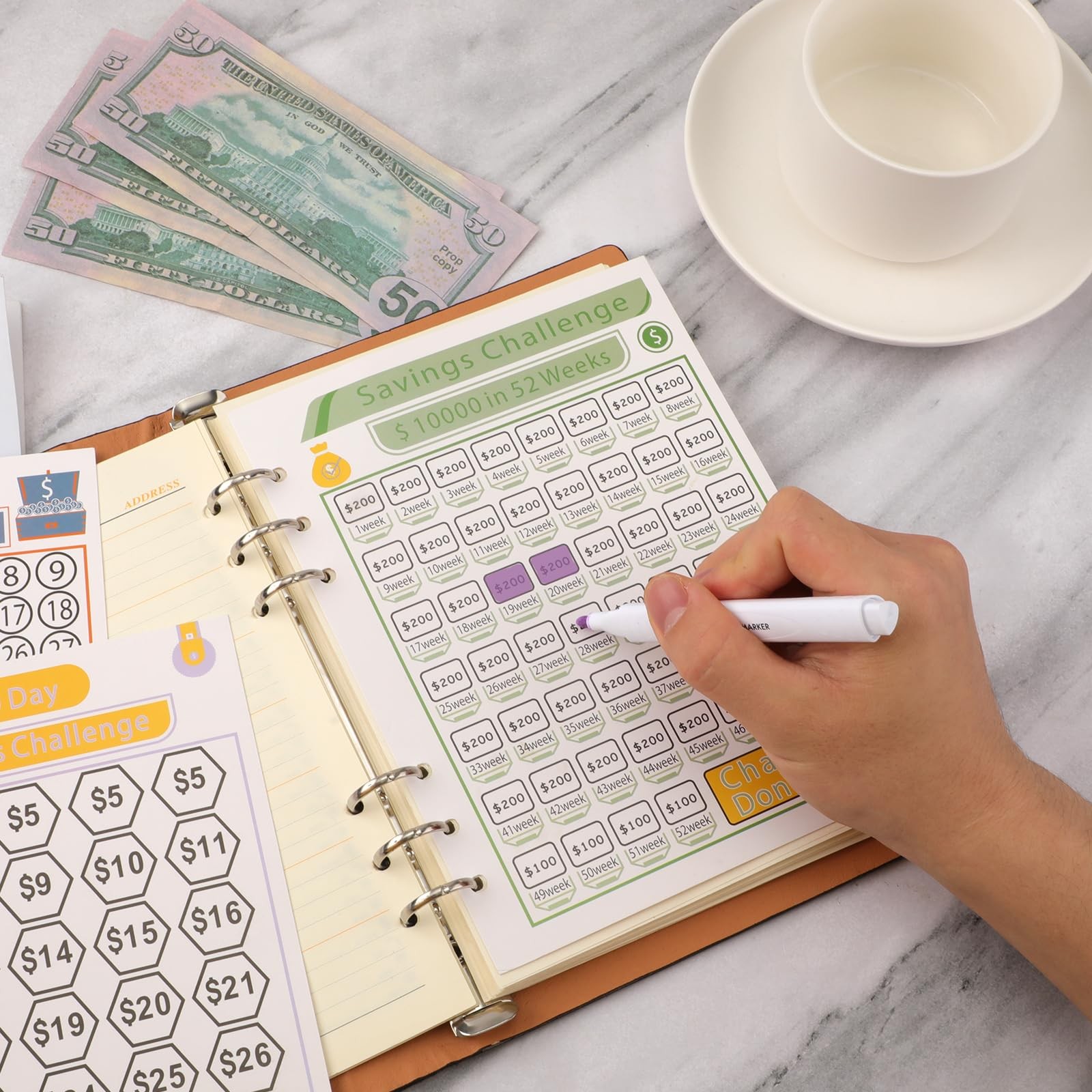 NQEUEPN Saving Money Challenge Tracker Sheets, 18pcs, 100 Day, 7.87×5.98 inch,