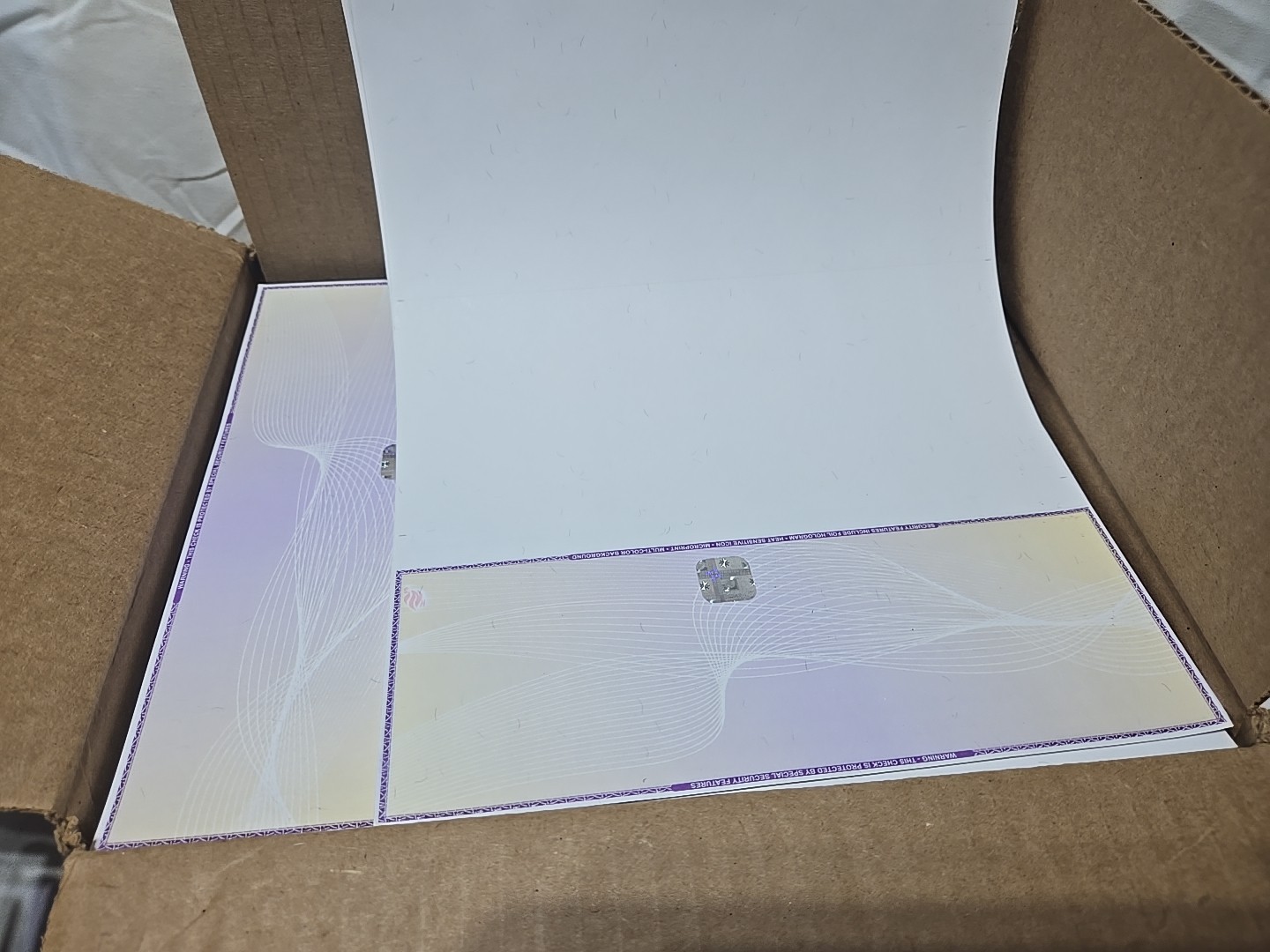 EZ Checks Blank Hologram High Security Business Checks | Check at Top…