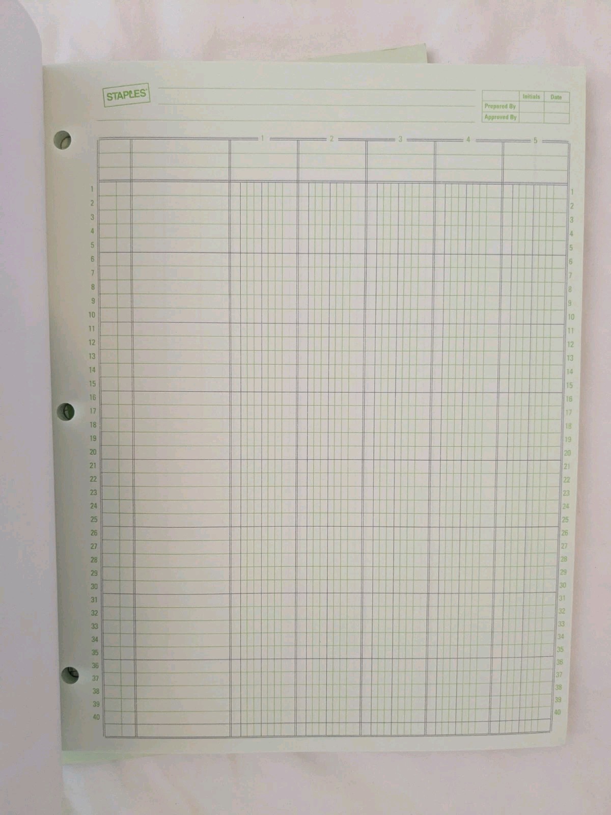 Staples Columnar Books 100 Pages 5 Columns Green 2/Pack (217851ABF)