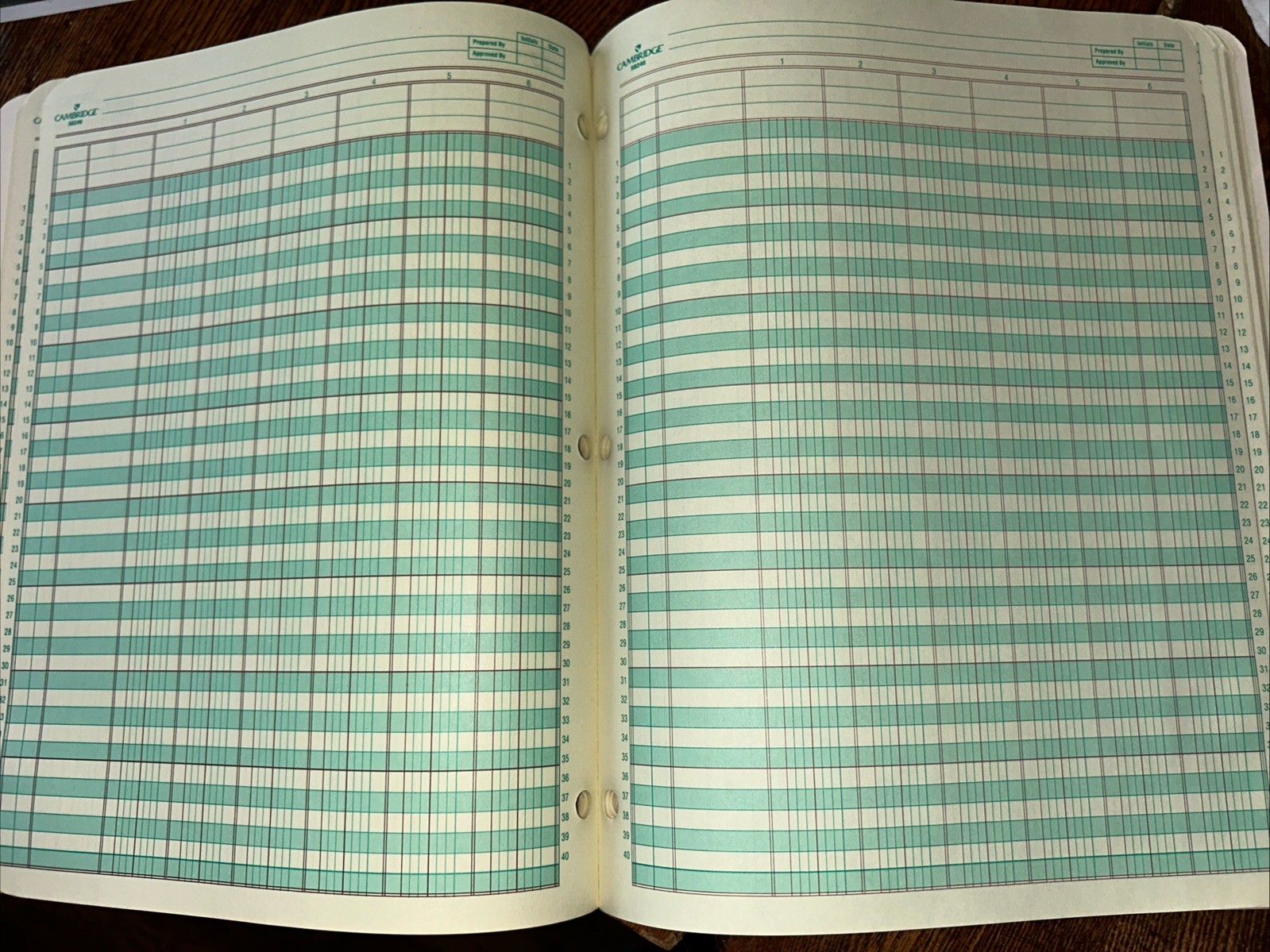 Vintage 1986 Mead Cambridge Analysis Sheets 6 Column Pad 50 Sheets New