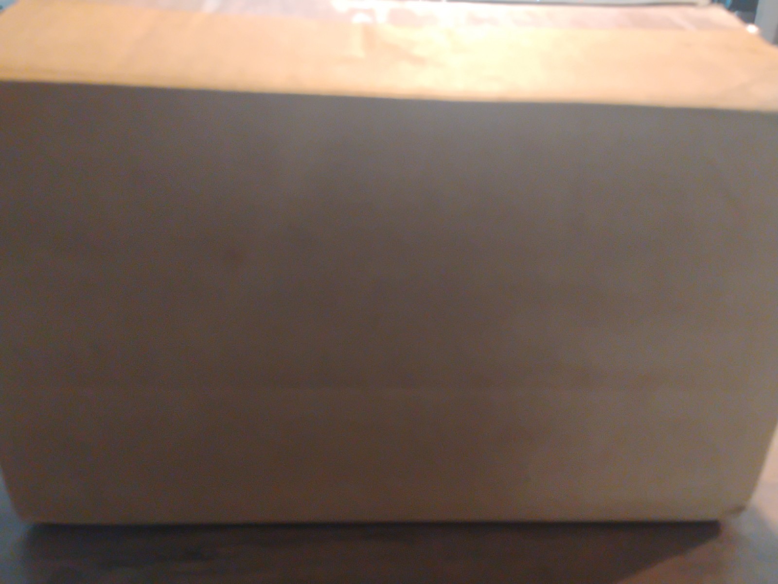 Three Part Security Business Checks 8.5×11 Blue Top Open Box Of 1,000