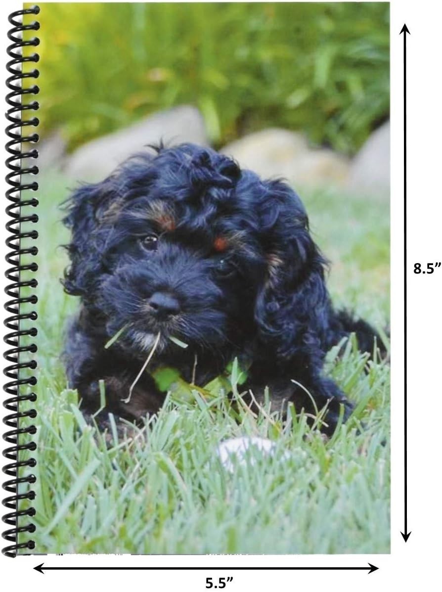 Puppy Check Book & Debit Card Register, 1-Pack, Standard Edition