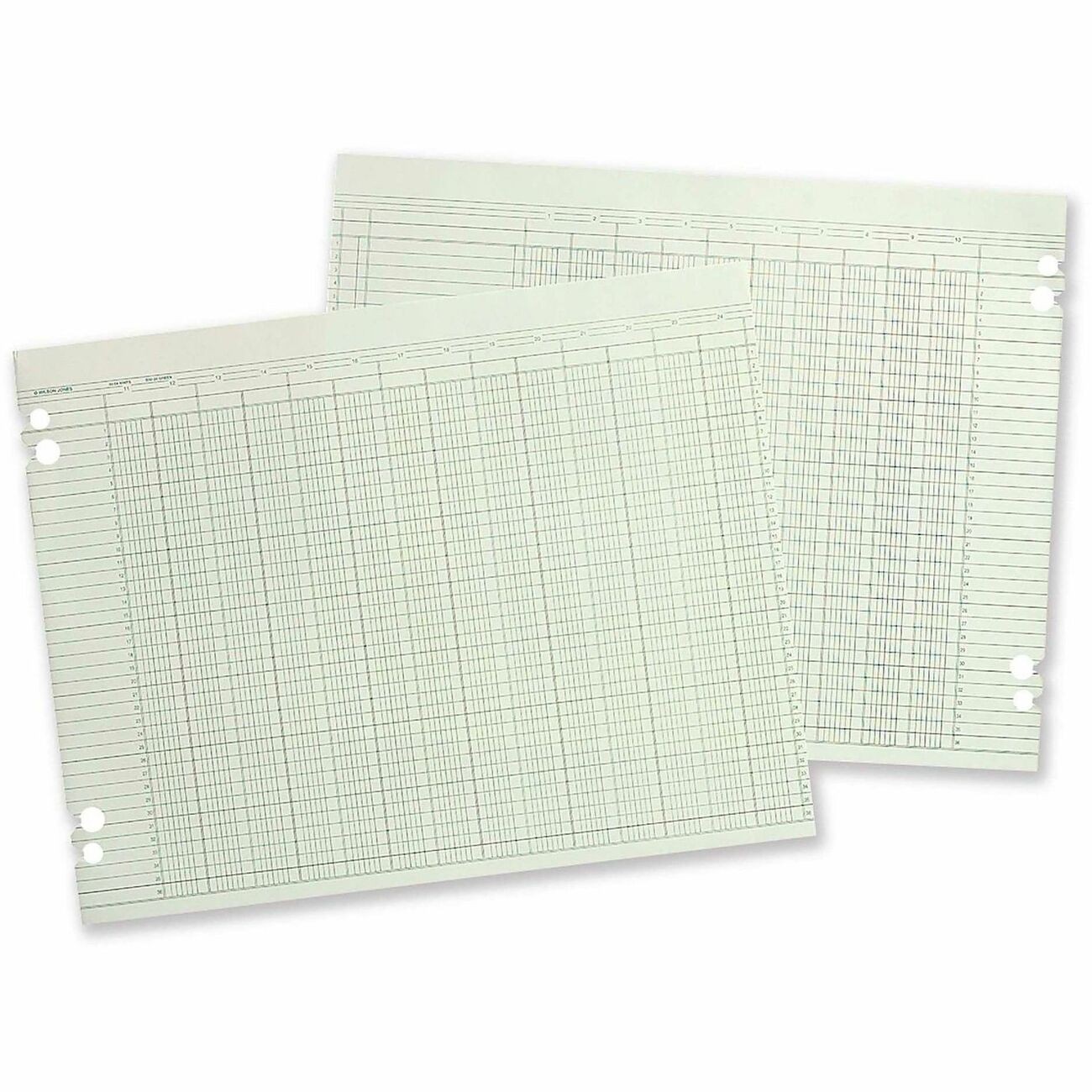 Acco G1020_40 Columnar Ledger Sheets 100 Pack Green 9.25″x11.88″