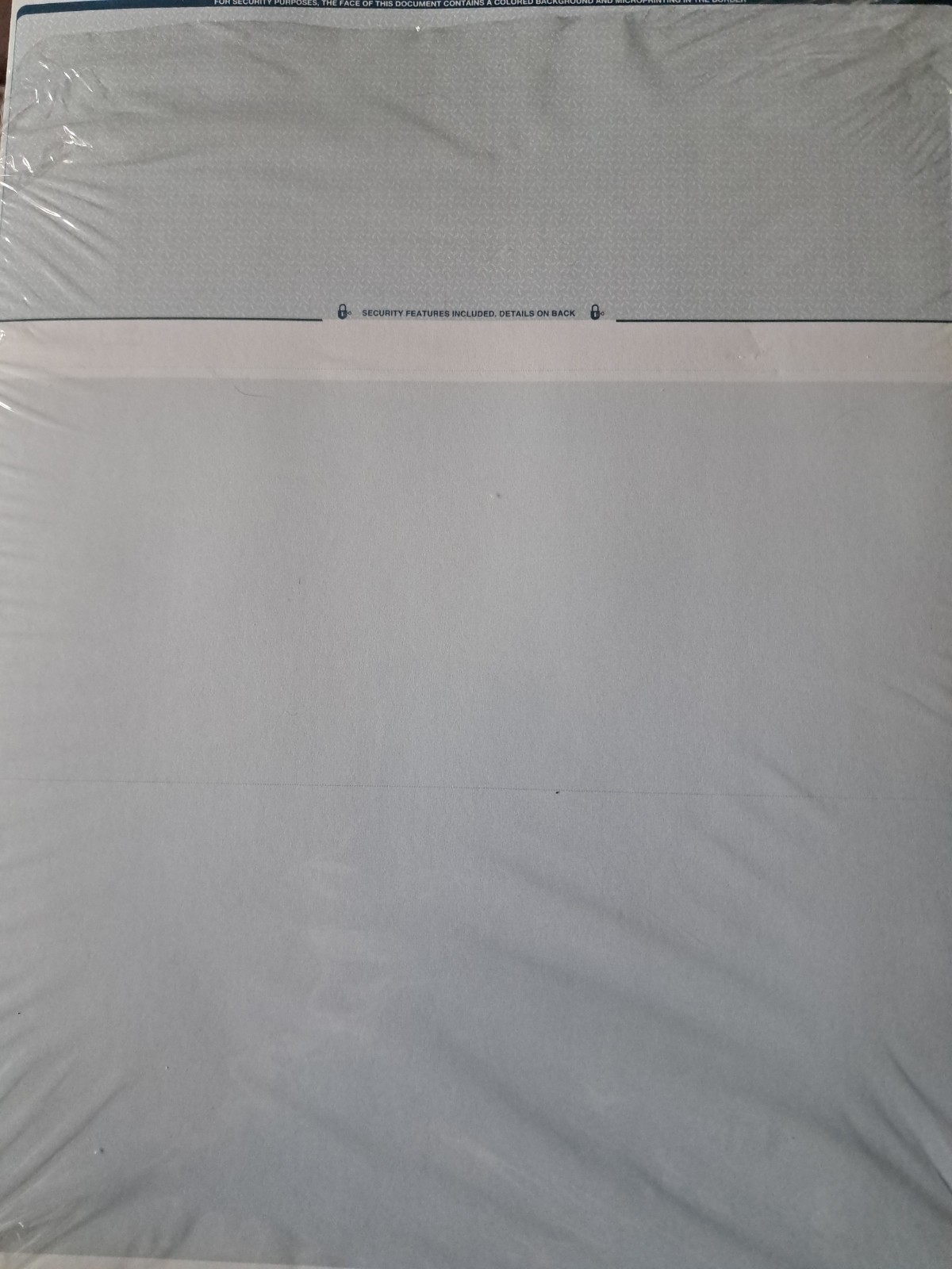23 Blank Check Stock Paper – Check on Top – Blue Diamond