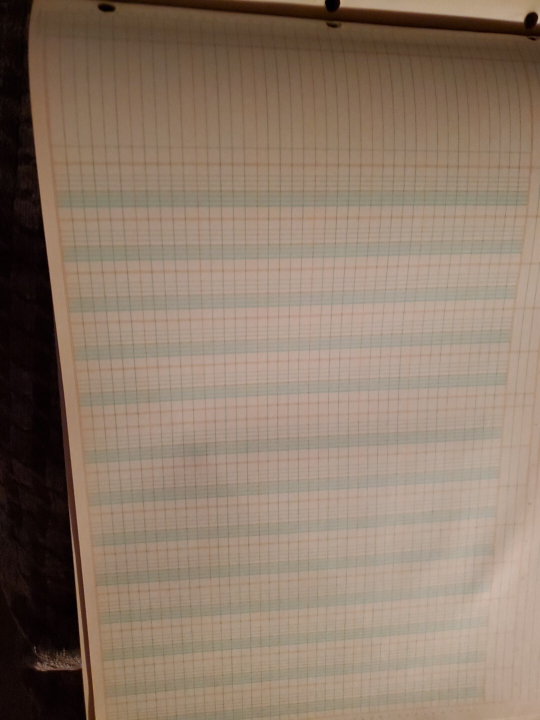Herlitz Boardroom 13 Column Columnar Pad 50 Sheets 11 X 16 3/8 Inches Lot 2 Pads