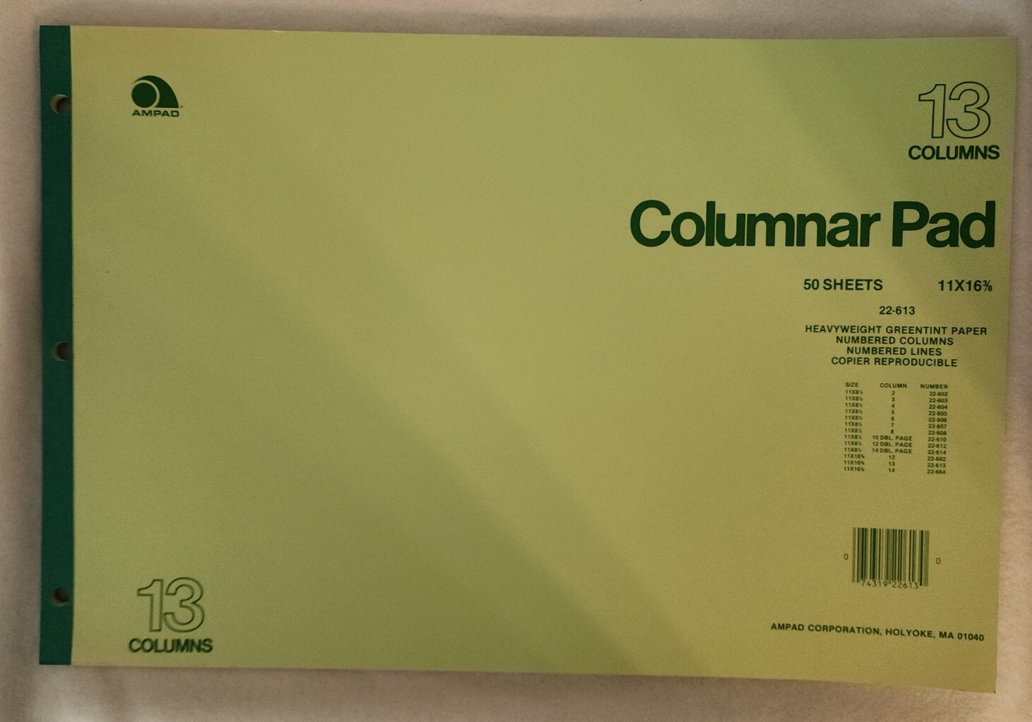 Ampad Columnar Pad 13 Columns 11″ x 16 3/8″ 3-ring Ledger paper 2 Pack #204181