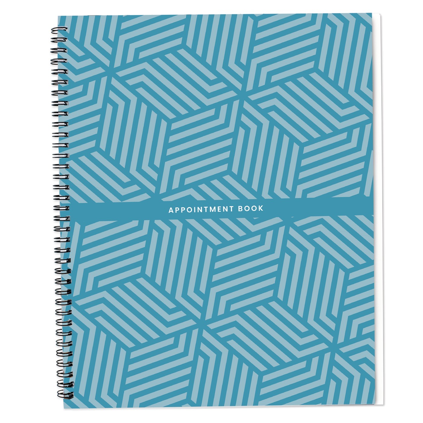 DL Pro Appointment Book, 6-Column #DL-C200. Salon, Barber, Spa, Professional